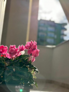 Cozy and spacios apartment in Ish Blloku, Tirana